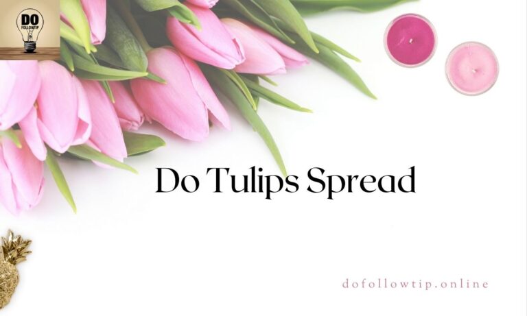 Do-Tulips-Spreader