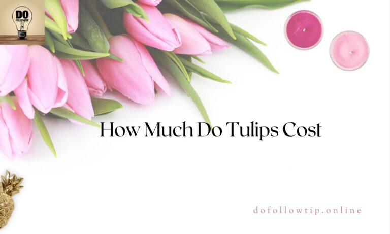 How-Much-Do-Tulips-Cost