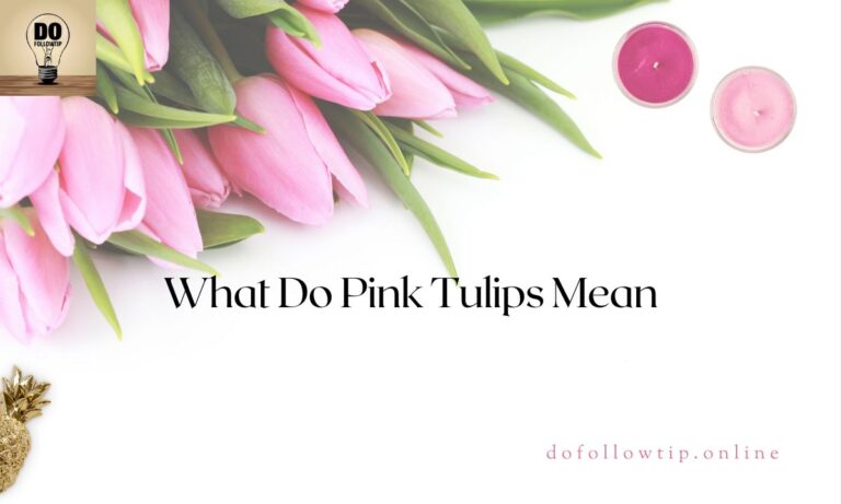 What-Do-Pink-Tulips-Mean