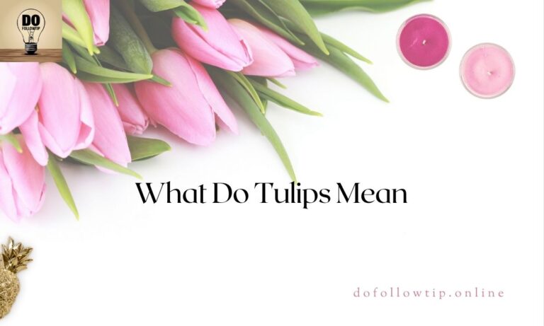 What-Do-Tulips-Mean