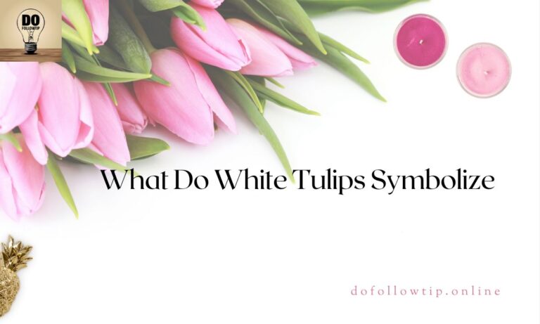 What-Do-White-Tulips-Symbolize