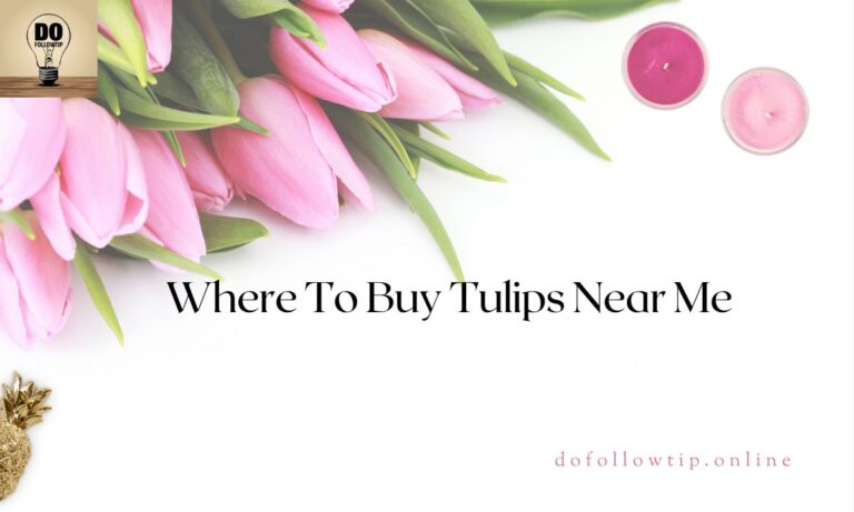 Where-To-Buy-Tulips-Near-Me